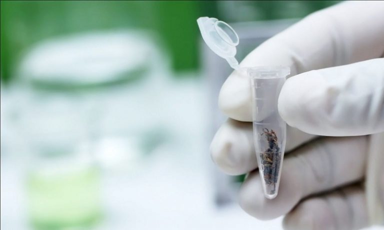 Cannabis medicinal es una de las 16 demandas de Unidad Social