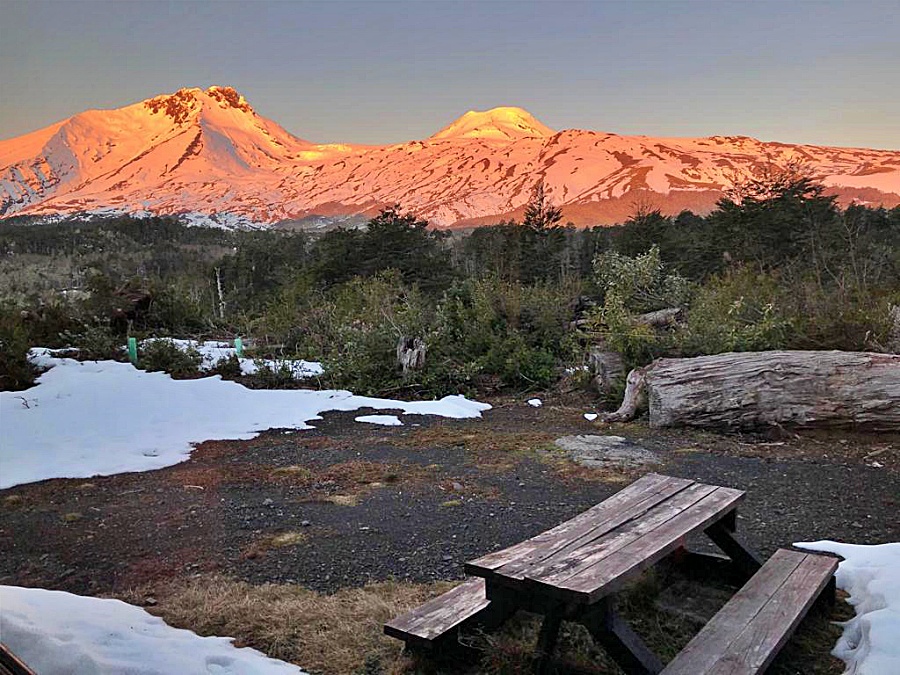 Reserva Nacional Mocho Choshuenco cuenta con sistema de reserva de entradas