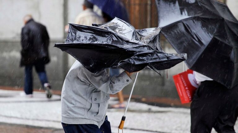 Dirección Meteorológica de Chile actualiza aviso por viento normal a moderado para La Araucanía y Los Ríos