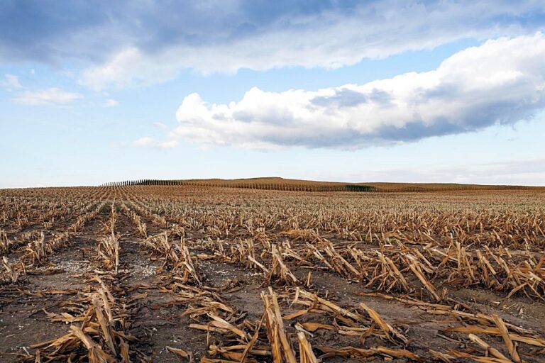 Investigación UCT permite anticipar riesgos agrícolas ante eventos climáticos extremos