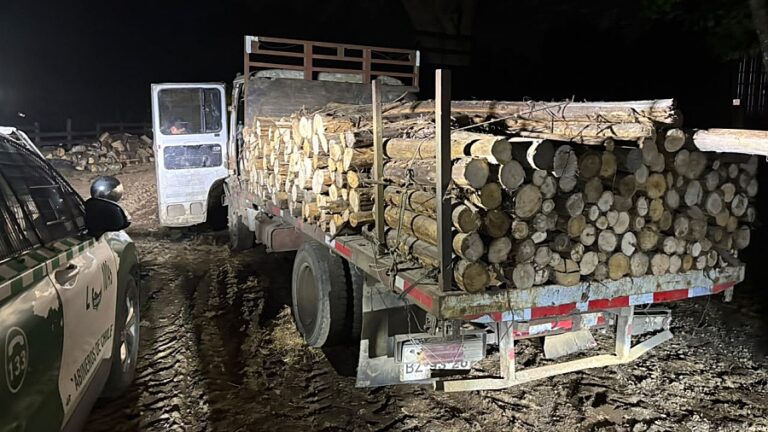 Carabineros detiene a tres personas por sustracción de madera en Panguipulli